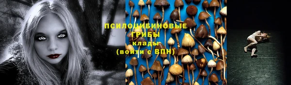 стаф Магас