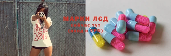 стаф Магас