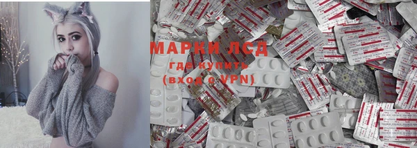 стаф Магас