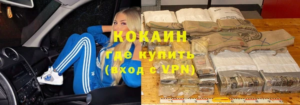 стаф Магас